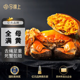 【活蟹】今锦上大闸蟹鲜活螃蟹礼盒全母2.3-2.6两8只装精品中秋国庆礼盒礼品 去绳足重