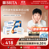 碧然德（BRITA）家用净水壶 滤水壶滤芯 MAXTRA+LE 专家滤芯 12枚装（本品加附件6个共计12个非18枚）