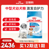 皇家狗粮 幼犬狗粮 中型犬MEJ32 全价犬粮 2-12月 4KG【定期购】