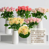 单头玫瑰随机色10枝