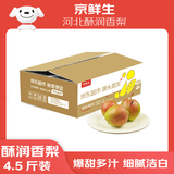 京鲜生 河北酥润香梨 净重4.5斤 单果120g+ 生鲜水果 源头直发