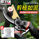 一号工厂园艺剪修枝剪强力粗枝剪果树盆景专用修剪工具 金鹰嘴护手款