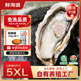 鲜海道【品质】鲜海道生态生蚝  乳山牡蛎 活鲜海蛎子生鲜贝类 品质升级5XL-净重9斤