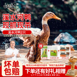 杨博士皖南整只老鸭2只 净重4斤 农家散养鸭子土鸭溪水河鸭肉源头直发
