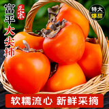 富平柿饼富平尖柿冰柿富平吊柿饼柿子饼霜降柿饼流心柿饼25年新货陕西特产 （现货）富平新鲜尖柿3斤