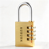 奥本黄铜密码挂锁行李箱锁宿舍柜子锁健身房迷你密码防水锁头384