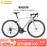 坎普（CAMP）RADON 公路车铝合金顺泰18变速单车圈刹运动赛车碳纤维前叉自行车 白银色 18速 500码