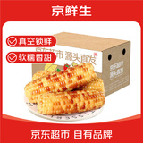 京鲜生云南花糯小玉米3斤 精选小花糯甜糯玉米棒 新鲜蔬菜 源头直发包邮