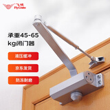 飞球（Fly.Globe）闭门器液压缓冲家用可调节消防门防火推拉门自动闭合关门神器防冻 中号适合承重45-65KG