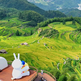 云和梯田景区门票（成人票）活动票 一日票 活动票 特惠票