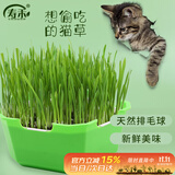 寿禾 猫草种子种苗小麦草水培盆栽种植猫零食栽培 猫草种子水培套餐