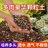 花大师 多肉营养土专用颗粒土多肉土壤盆栽种植土幼苗成苗老桩透气土 豪华多肉土5斤X4袋 增营养液1瓶
