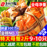 【活蟹】网兜蟹辽宁盘锦河蟹稻田河蟹礼盒螃蟹鲜活大闸蟹无绳净重 全母蟹丨2.0-2.2两【2斤】9-10只