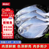 弘品汇 舟山银鲳鱼净重2.4斤/12条新鲜急冻白鲳鱼平鱼生鲜海鲜源头直发 