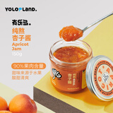 有乐岛配料干净纯熬杏子酱150g 无添加白砂糖90%果肉果酱涂抹面包