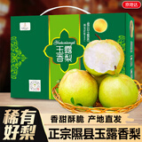京地达隰县玉露香梨礼盒 净含量8斤单果250g新鲜梨子香梨装源头直发包邮