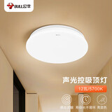 公牛（BULL）声光控感应吸顶灯MX-A012F-ES玄关门廊阳台楼道灯具12W 