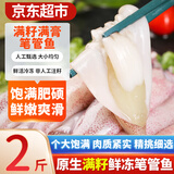 弹指鲜生 海兔子 满籽笔管鱼 鲜活冷冻籽乌章鱼新鲜墨鱼仔小鱿鱼乌贼 1000g(净重)  【99%含籽】