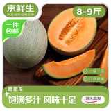 京鲜生 西州蜜哈密瓜 净重8-9斤 单果2.3斤起 3-4个装 源头直发包邮