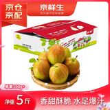 京鲜生 长城脆香梨 新梨七号 净重5斤 单果100g+ 生鲜水果礼盒