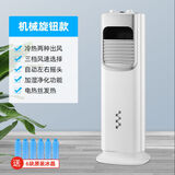 夏新（Amoi）冷暖空调扇家用冷风机水冷塔扇制冷落地式冷风扇暖风机取暖器 冷暖两用【机械款】