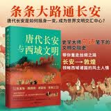 唐代长安与西域文明  中国古代历史书籍 谋略政治思想文化 丝绸之路一带一路 西域纪行