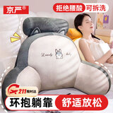 京严床头靠垫床上靠枕大靠背垫软包腰靠抱枕宿舍护腰玩手机看书不塌陷 常规款【加大加厚-可拆洗】哈士奇 70cm*50cm 枕套 大号四挡调温/智能定时/
