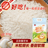 太粮 孖宝猫牙米10斤 长粒籼米大米5kg（山泉水灌溉）当季新米