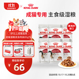 皇家猫粮 成猫湿粮 软包猫罐头IGP 通用粮 1-7岁 浓汤肉块 85G*6进口