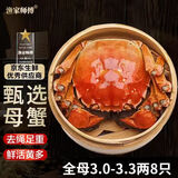 【活蟹】漁家师傅大闸蟹全母3.0-3.3两8只去绳足重鲜活螃蟹现货生鲜礼盒 源头直发