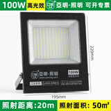 亚明照明led投光灯射灯户外照明灯防水强光超亮工业车间照明工程路探照灯 100W-防水投光灯-亚明照明