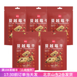 展艺 蔓越莓干 小红莓果干牛轧糖雪花酥专用食曲奇饼干原装烘焙原料 100g*5袋