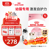 皇家幼猫猫粮 幼猫奶糕 K36 通用粮 4-12月 4.5KG