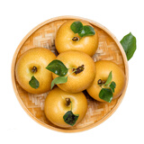 青青大地秋月梨山东莱阳正宗秋月冰糖梨 产地直发净重4斤 新鲜水果 秋月梨4斤精品实惠装