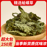 半山农蛤蟆草 野外生癞蛤蟆草荔枝草雪见草 中草药原材料整颗新货250克