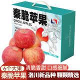 洛川苹果25年新品秦脆瑞雪维纳斯苹果水果礼盒水果生鲜送礼陕西延安特产 秦脆 6枚大果 鉴赏级 礼盒装