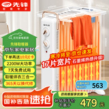 先锋（SINGFUN）取暖器/电热油汀/石墨烯加热电暖器/电暖气片 政府补贴取暖器家用恒温加湿加厚17片油汀DYT-Z21pro