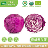 有机汇有机紫甘蓝 紫包菜卷心菜 沙拉轻食榨汁有机蔬菜 新鲜无农残 1000g