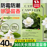 宫禾川樟脑丸樟脑球衣柜香薰防霉防潮除味留香室内床上跳蚤螨虫除螨包