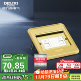 德力西（DELIXI）开关插座 金色带电话电脑掀盖式铜地插地板插座 DCT-F120G-T2T8
