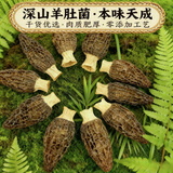 一级羊肚菌干货30克（3-5公分）山货菌菇类干货煲汤食材滋补养生 羊肚菌30g【精品款】