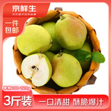 京鲜生新疆库尔勒香梨 净重3斤装 单果100-120g 源头直发 包邮