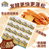 燕子（SAF INSTANT）高活性即发干酵母 金装耐高糖发酵粉 5g*16袋