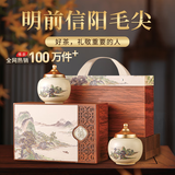 天洲溪绿茶信阳毛尖 250g新茶明前采摘 高端茶叶礼盒送人领导长辈老人