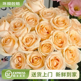 云南鲜花批发品质玫瑰百合水养鲜切花送女友生日礼物源头直发 香槟（蜜桃雪山）-10支 【任选2件—不收运費】