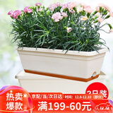 花沃里长方形花盆带托盘2个 阳台种菜盆种菜箱种子育苗盘种植箱米白大号