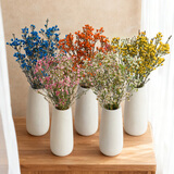 【暗香明媚】腊梅随机色1束 