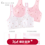 Hello Kitty少女内衣文胸背心女童青春发育期纯棉吊带透气女孩抹胸女学生初中 C款棉背部 [不可拆夹棉款] 55519 均码 75A/上胸围73-77cm