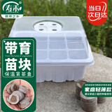 寿禾 穴盘育苗盘育苗盒带排气阀透气 潍育育苗盒白色12穴+12个育苗块