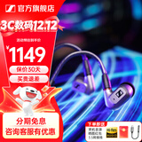 森海塞尔（Sennheiser）IE900/IE600/IE300旗舰级HIFI高保真超宽单动圈单元可拆卸MMCX挂耳式耳机 高保真发烧有线耳机耳塞 IE200【东方银韵版】
